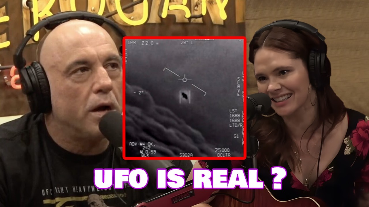 Joe Rogan Said : "Future humans will look exactly like aliens!" cover art