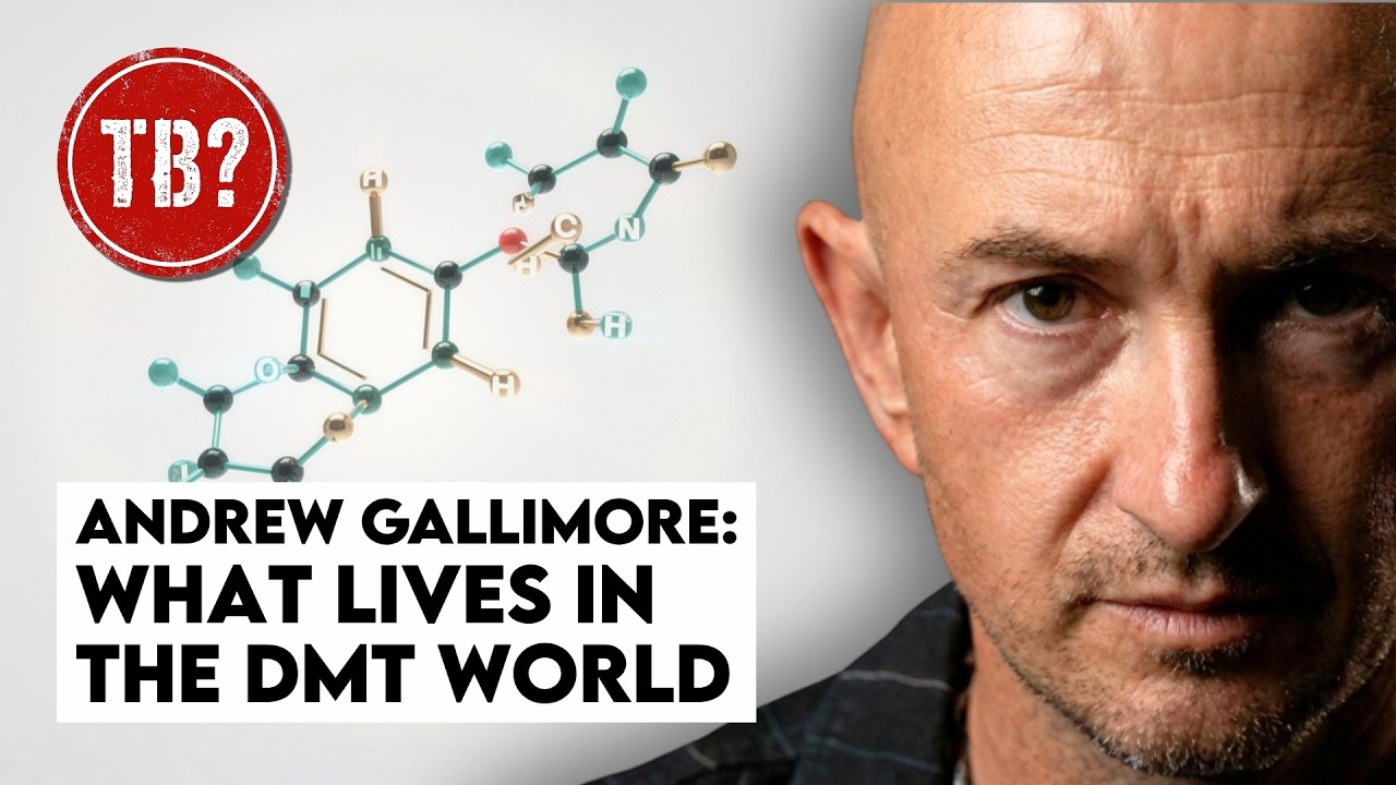 The Basement: Andrew Gallimore | DMT Didn't Take You Somewhere New — It Unlocked What's Always There cover art