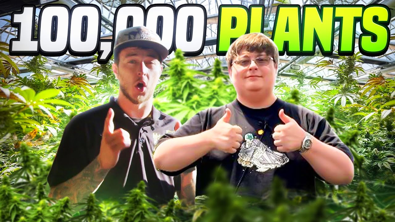 Growing 100,000 Plants at Terp Mansion | The Gobcast ep. 119 cover art
