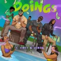 DOINGS