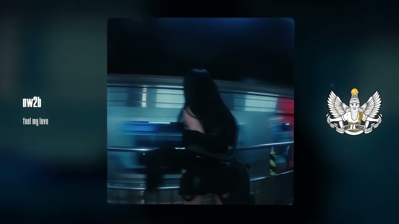 nw2b - feel my love cover art