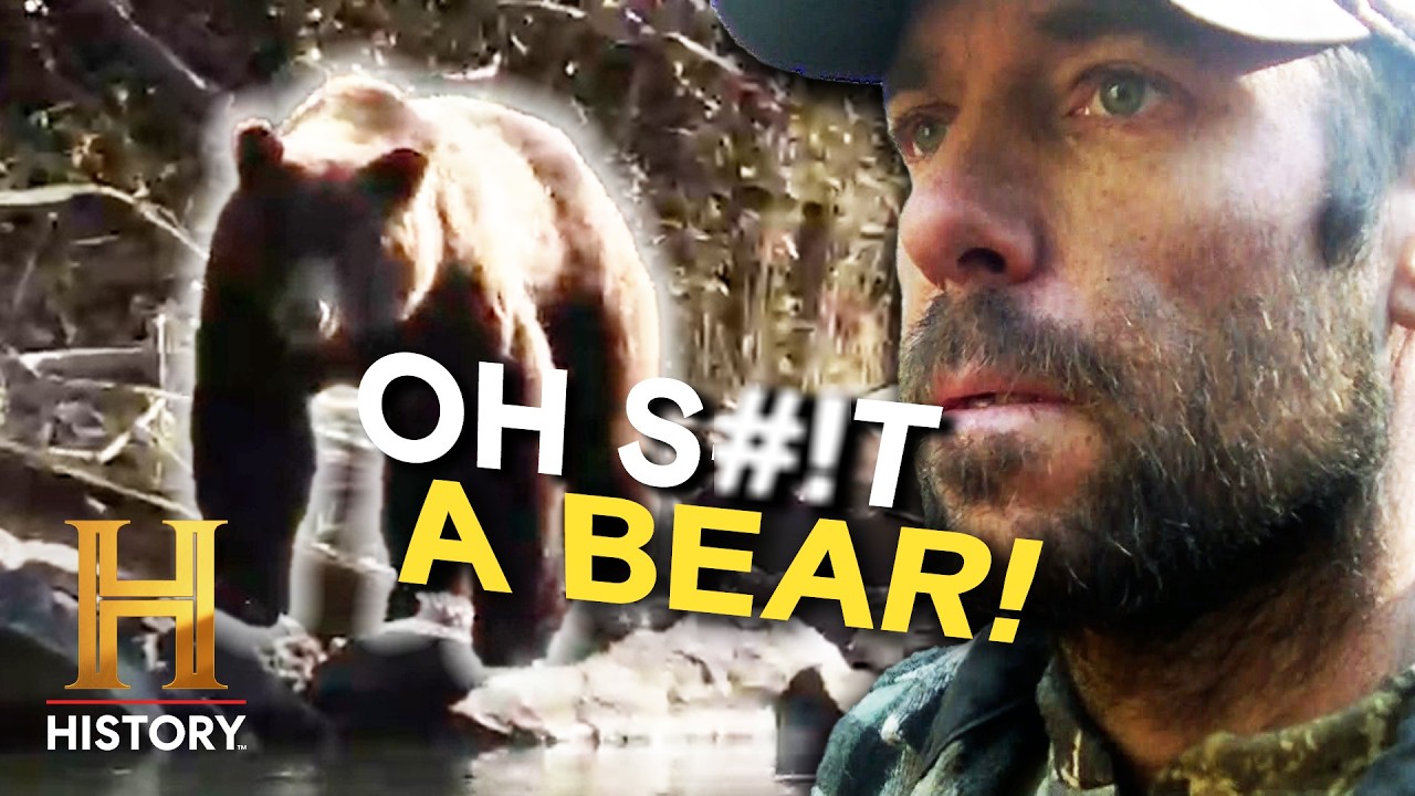 BEARS! Facing the Wild's Most Dangerous Predator | Alone cover art