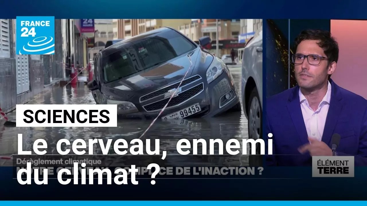Dérèglement climatique : notre cerveau, complice de l'inaction ? • FRANCE 24 cover art