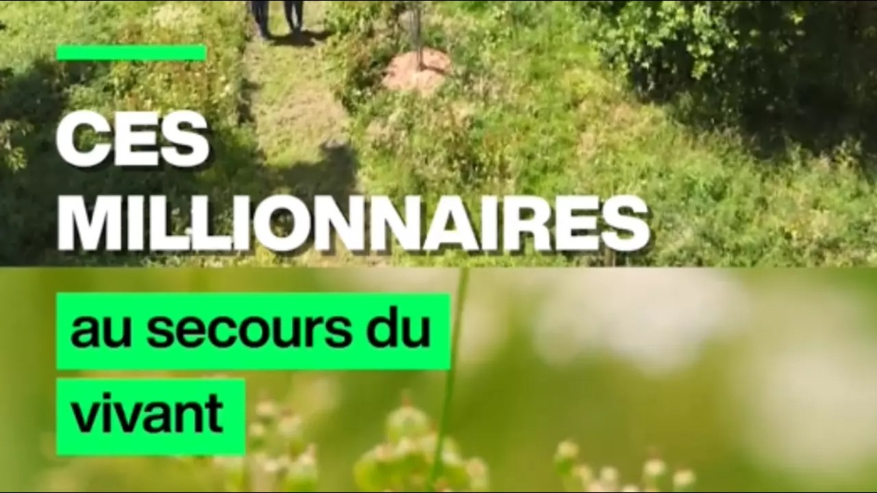 De riches entrepreneurs achètent des forêts pour les laisser à l’abandon • FRANCE 24 cover art