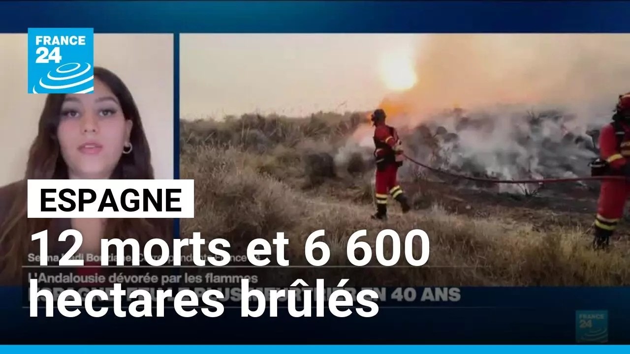 L'Andalousie dévorée par les flammes : le feu le plus meurtrier en 40 ans en Espagne • FRANCE 24 cover art