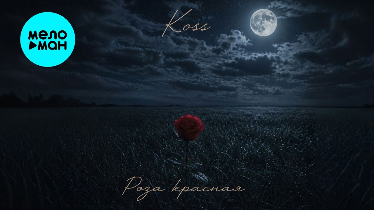 Koss - Роза красная (Single 2026) cover art