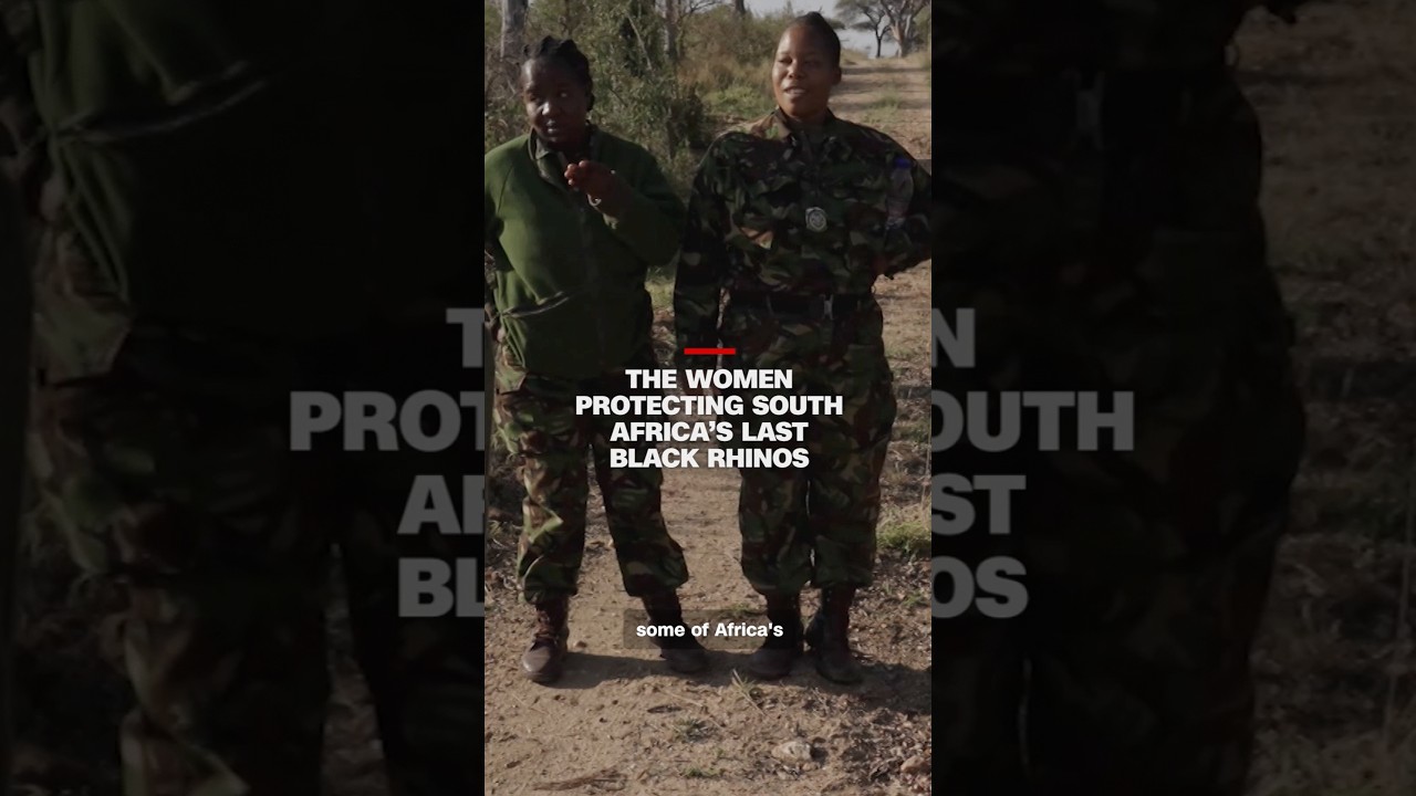 The women protecting South Africa’s last black rhinos cover art