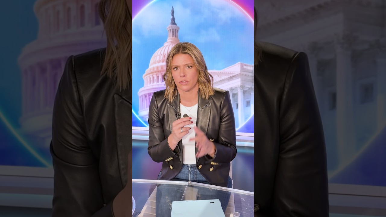 The question dividing Democrats in critical Michigan Senate primary cover art