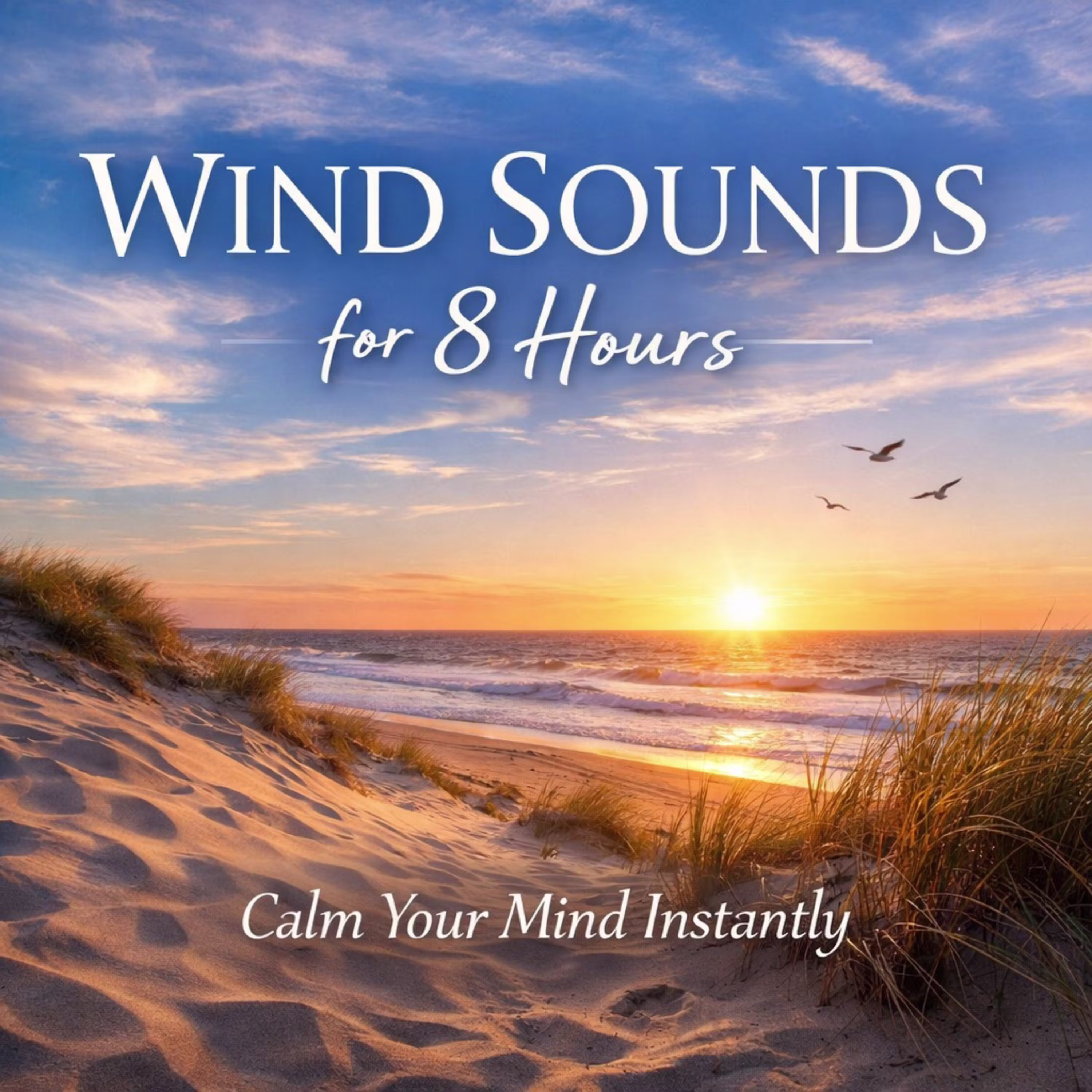 WIND SOUNDS for 8 Hours | Calm Your Mind Instantly