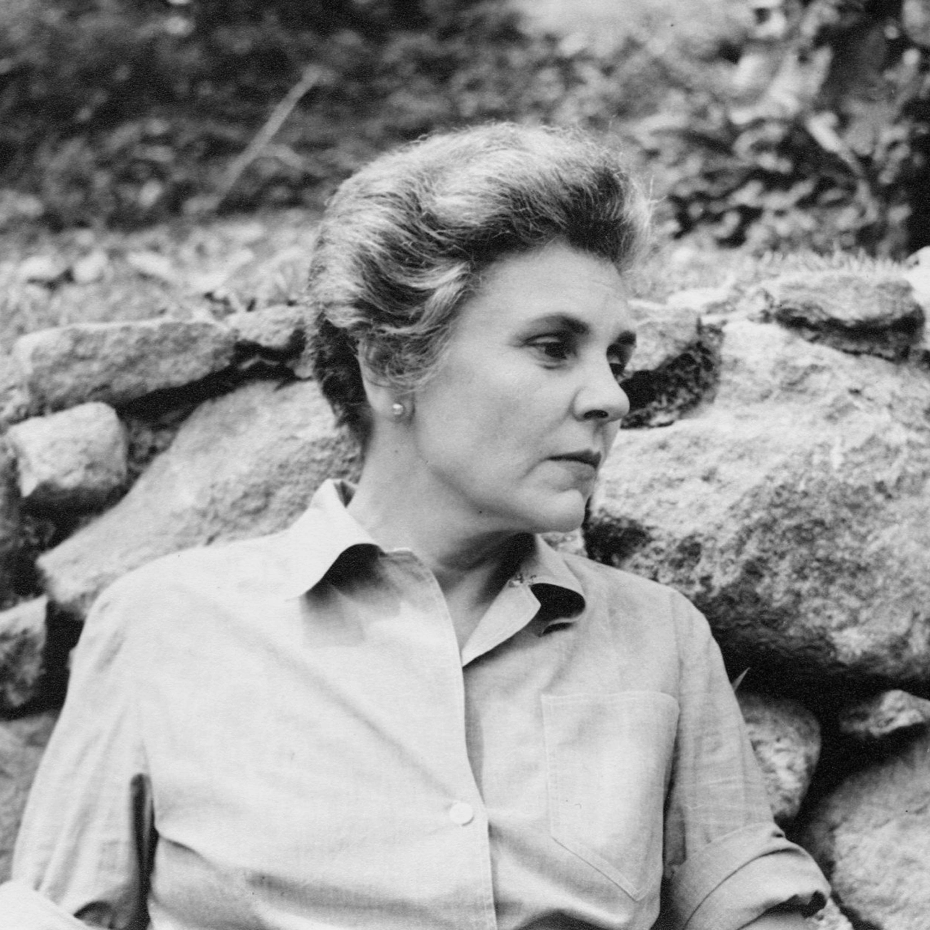 “The Armadillo” by Elizabeth Bishop