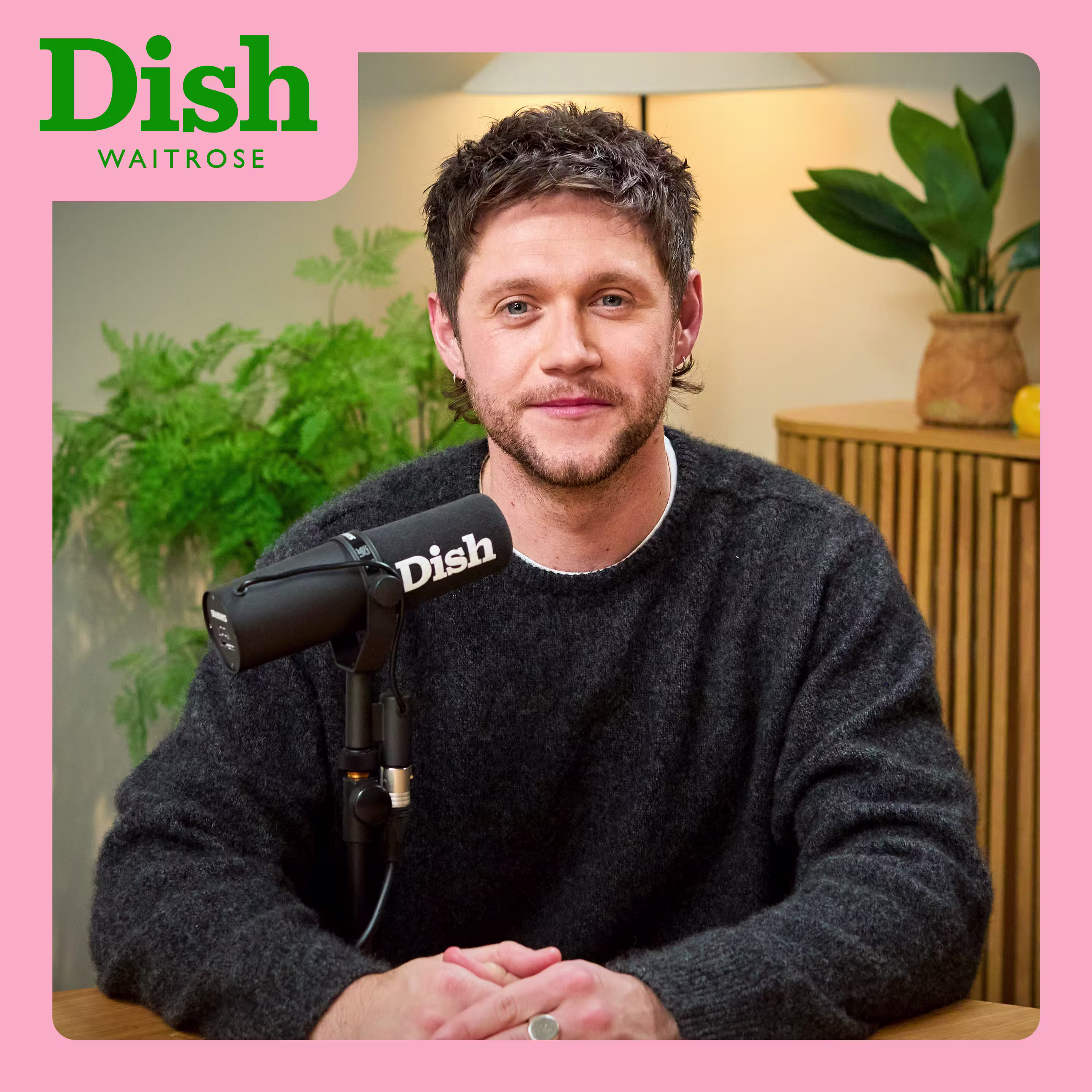 Niall Horan joins us for an epic beef Bourguignon pie cover art