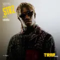 #TRAP strz mix series - Trap mix