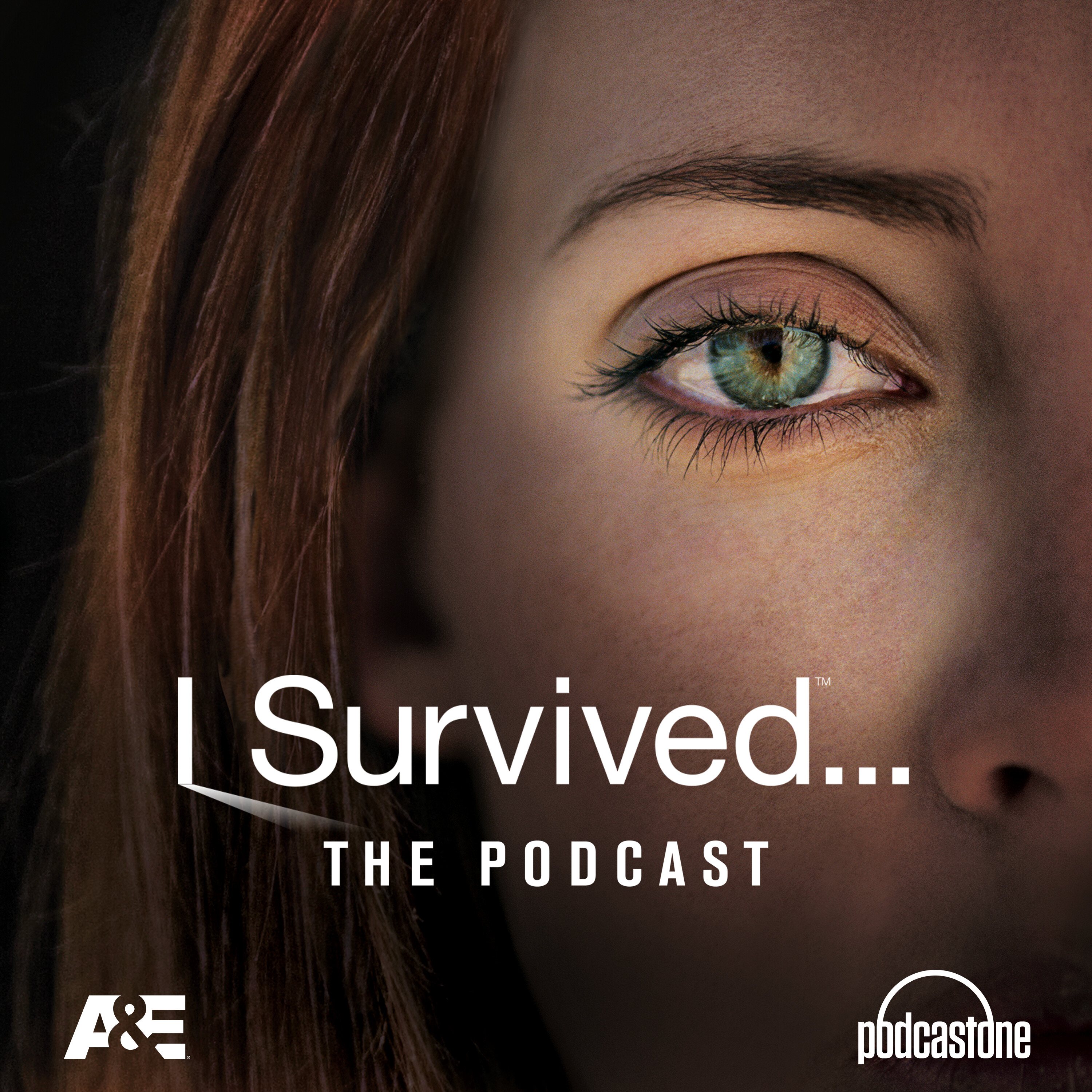 I SURVIVED: I Remember Telling God this is a 911 Prayer cover art
