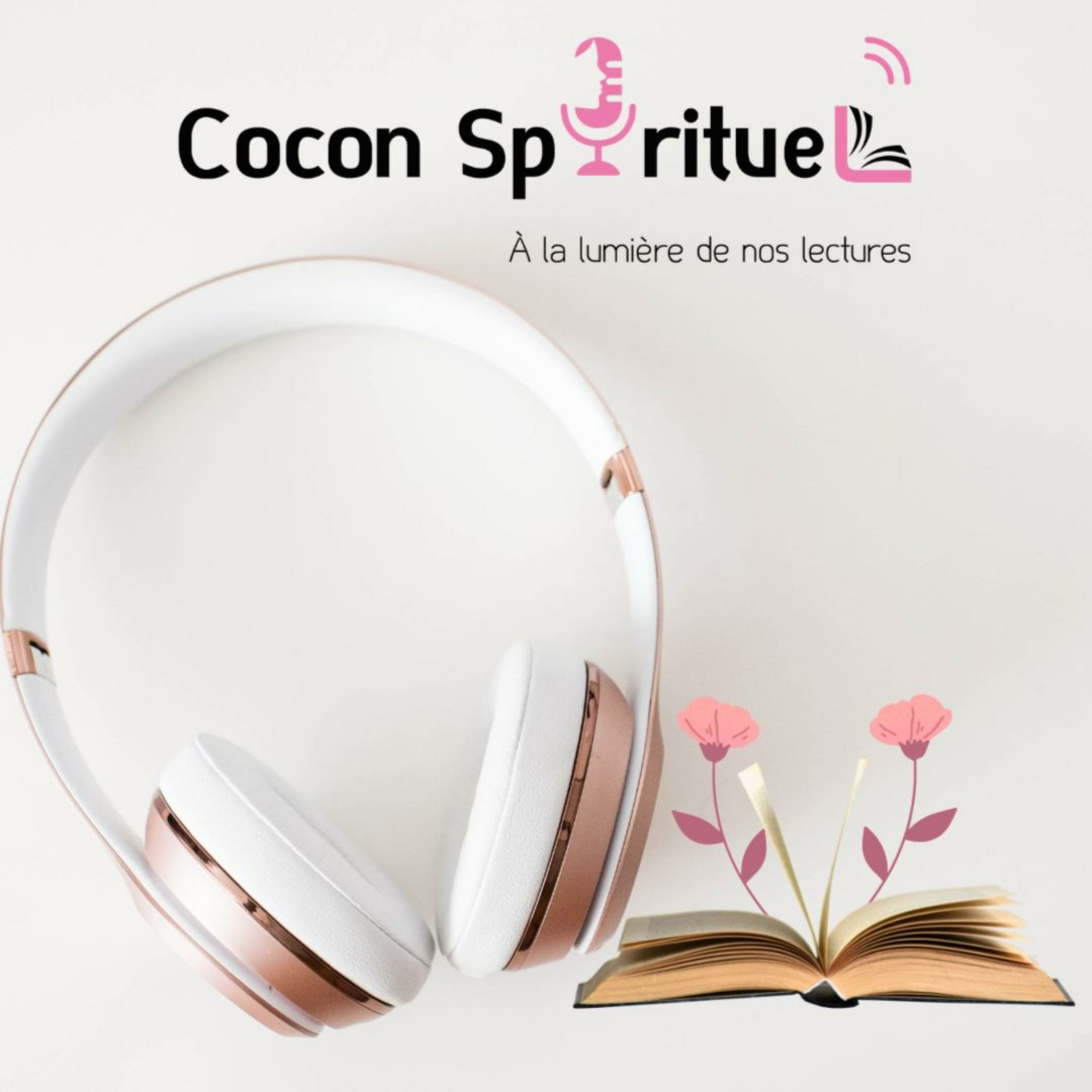 Ep 24 : Le plan de Dieu avec Khady Aidra cover art