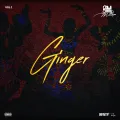 Ginger Christmas 2020 Mixtape