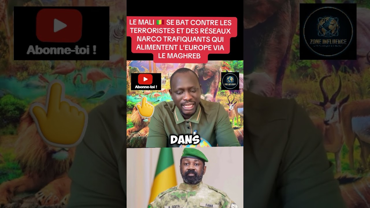🚨 LE MALI FACE À DEUX MENACES : LES GROUPES TERRORISTES ET LES RÉSEAUX DE NARCOTRAFIC cover art