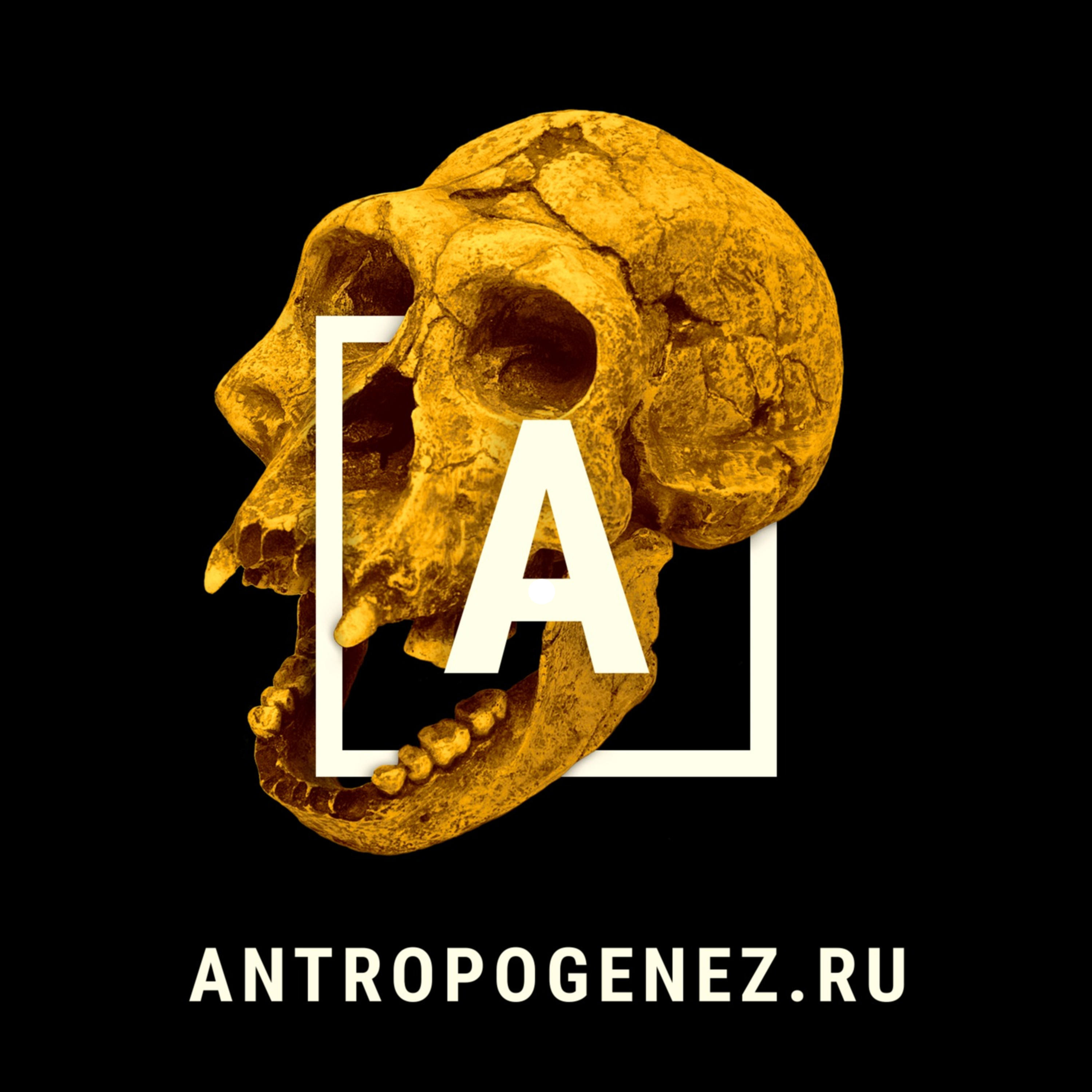 Климатические катастрофы в кино | Дарья Бокучава | Ученые против мифов 25-7 cover art