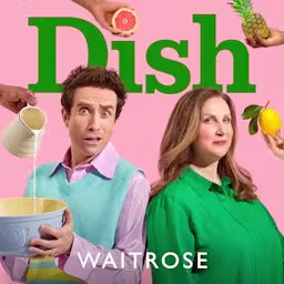 Dish cover art