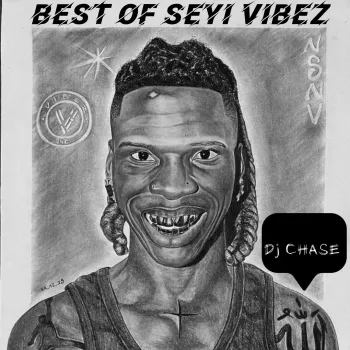 Best Of Seyi Vibez cover art