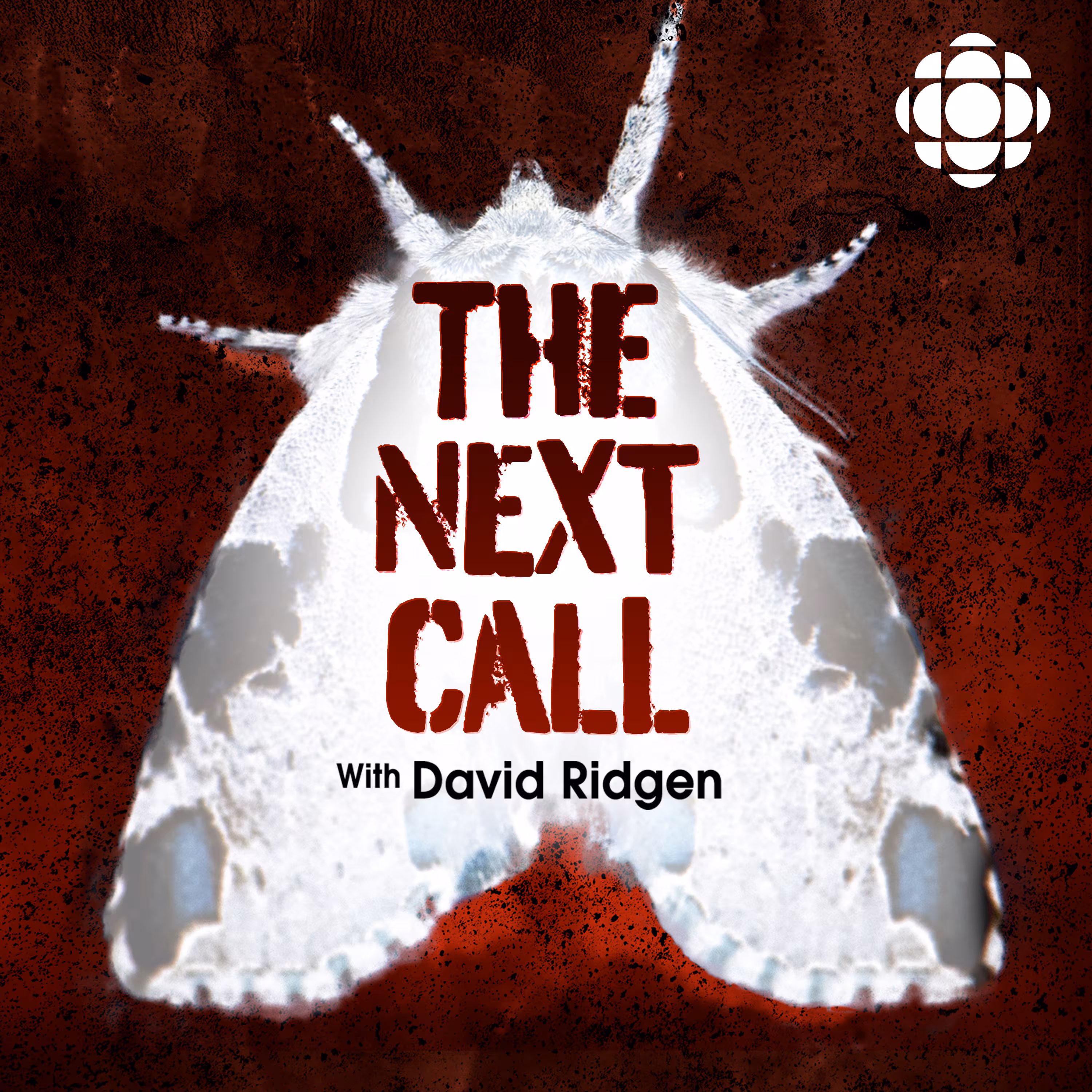 The Next Call with David Ridgen: Episode 2 in the case of Terrie Dauphinais