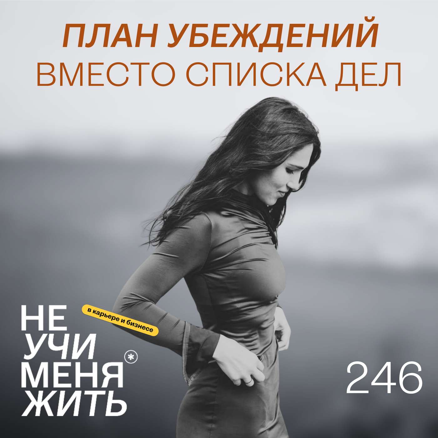 246. План убеждений вместо списка дел