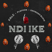 NDI IKE