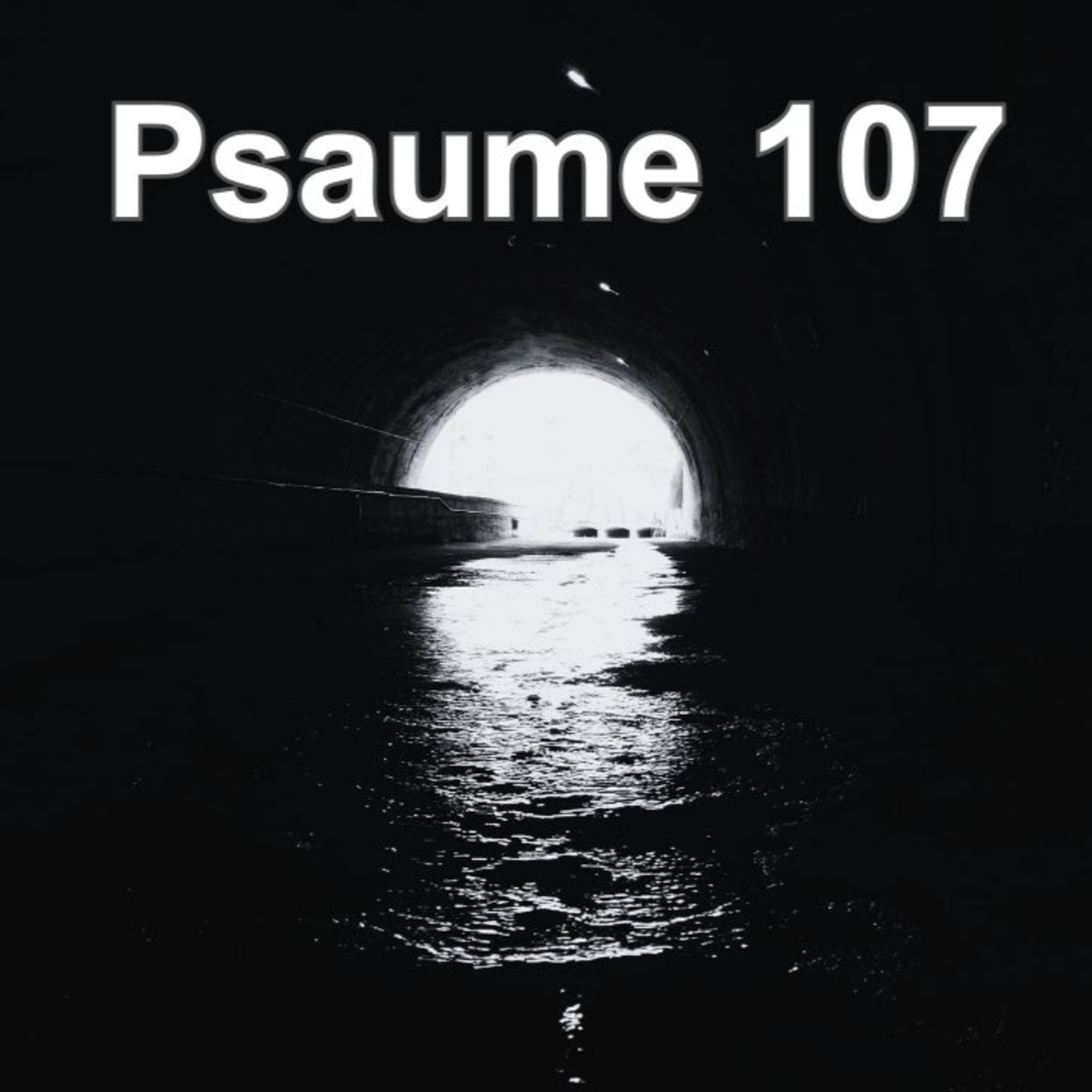 Psaume 107 • Et pourtant, cette image de merveille qui veut encore traverser les abimes. cover art