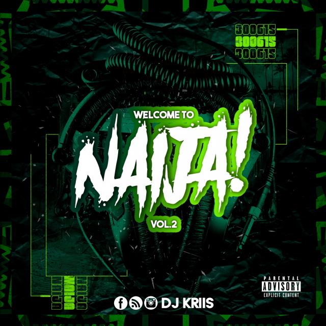 #WELCOME TO NAIJA vol.II cover art