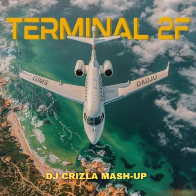 GIMS & DADJU X DADDY YANKEE - TERMINAL 2F LO QUE PASO (DJ CRIZLA MASH-UP) cover art