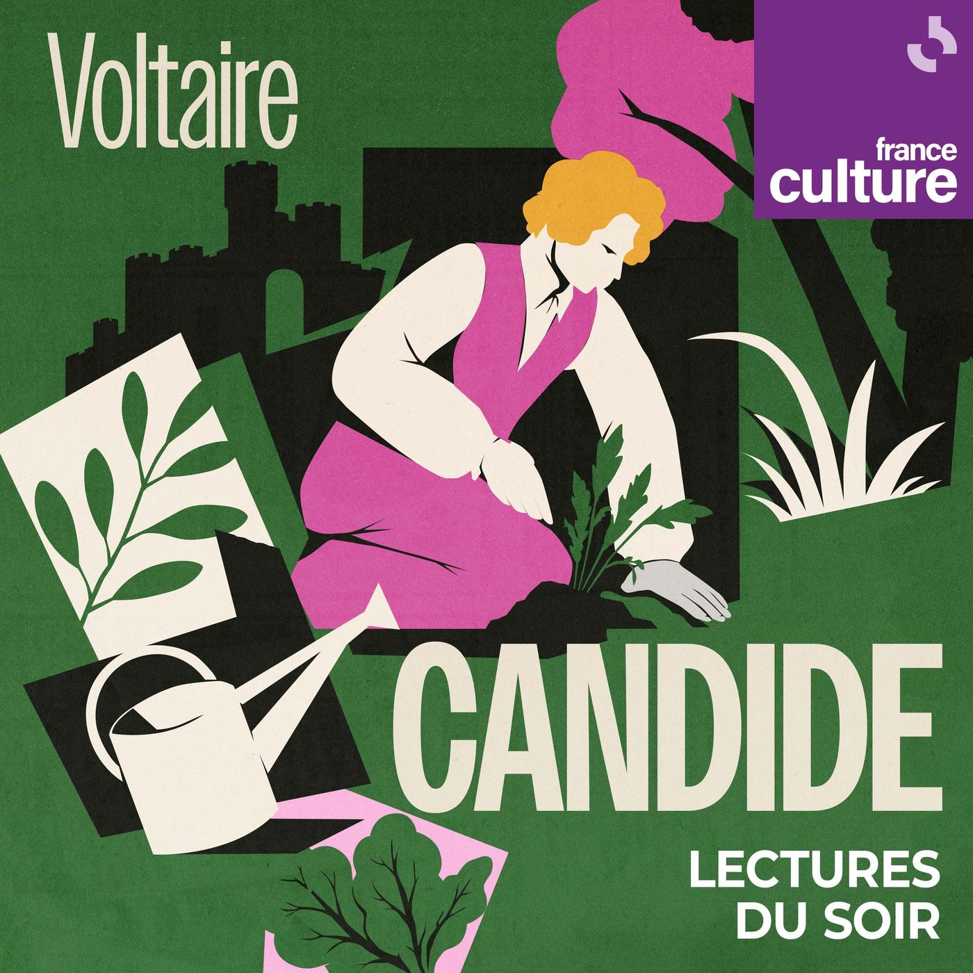 "Candide ou l'optimisme" de Voltaire 11/11 : Chapitres 28e, 29e et 30e : Candide retrouve Cunégonde cover art