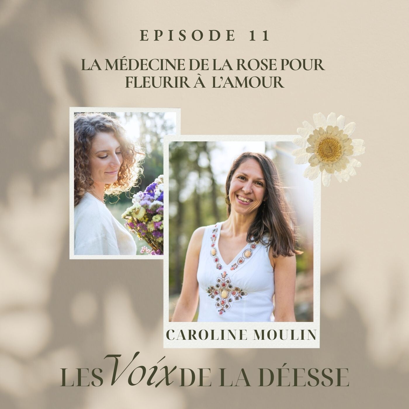 11 - La Médecine de la Rose pour fleurir à l'Amour avec Caroline Moulin cover art