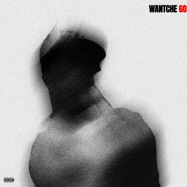 GO cover art