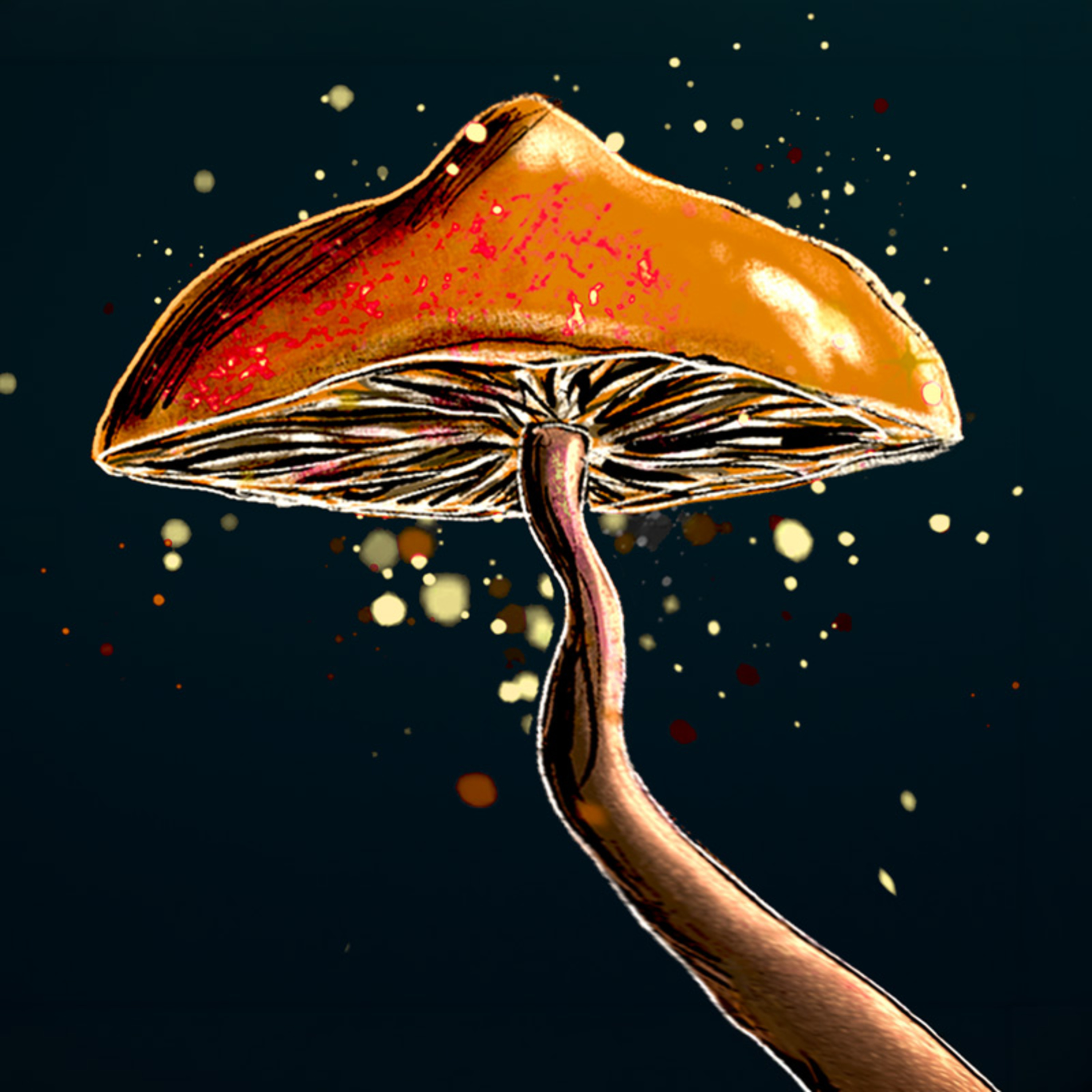 Apprendre à mourir. cover art