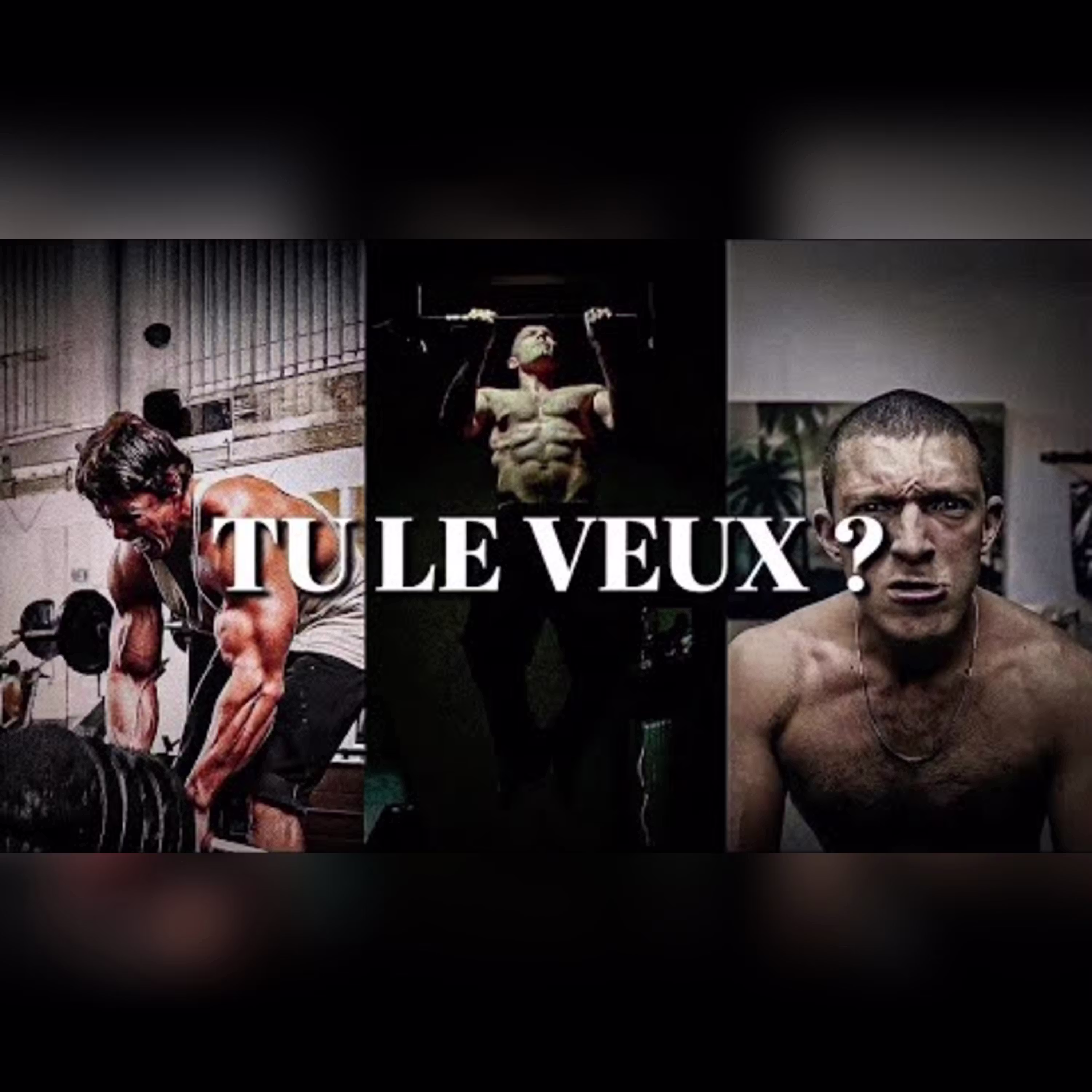 Veux-tu vraiment atteindre l'excellence ? Compilation de discours ultra motivants cover art