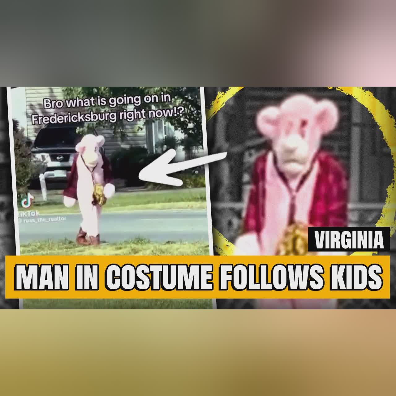 Possible Child Abductor Dressed as Pink Panther on the Loose