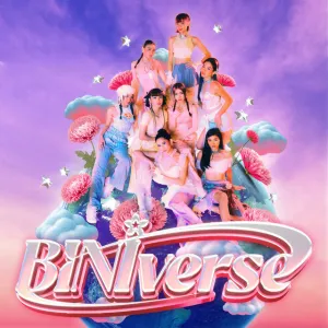 BINIverse cover art