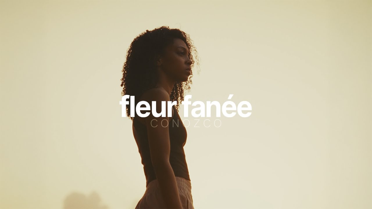 conozco - fleur fanée (album vizualiser) cover art