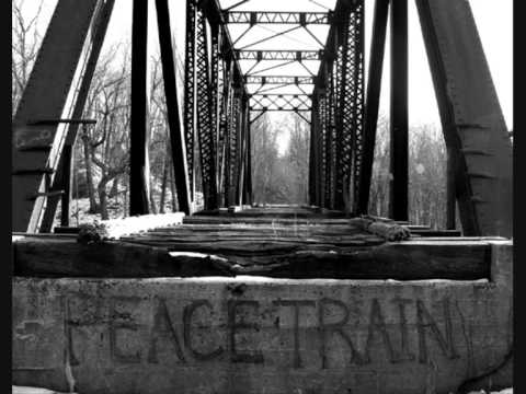 Peace Train - Zain Bhikha
