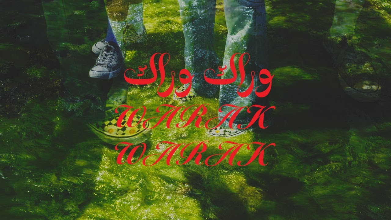 Zaid Khaled - WARAK WARAK (Official Visualizer) | زيد خالد - وراك وراك cover art