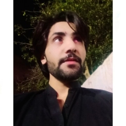 author avatar