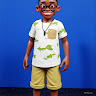 author avatar