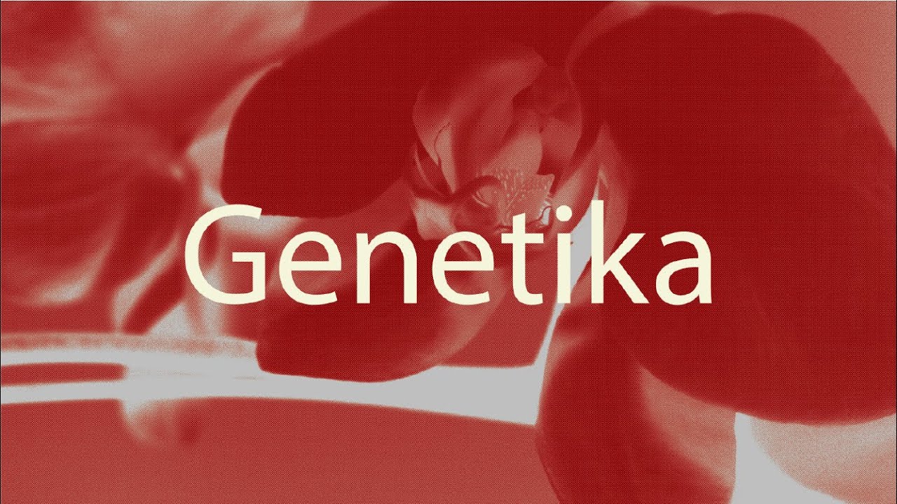 Dere - Genetika (Official Lyric Video) cover art