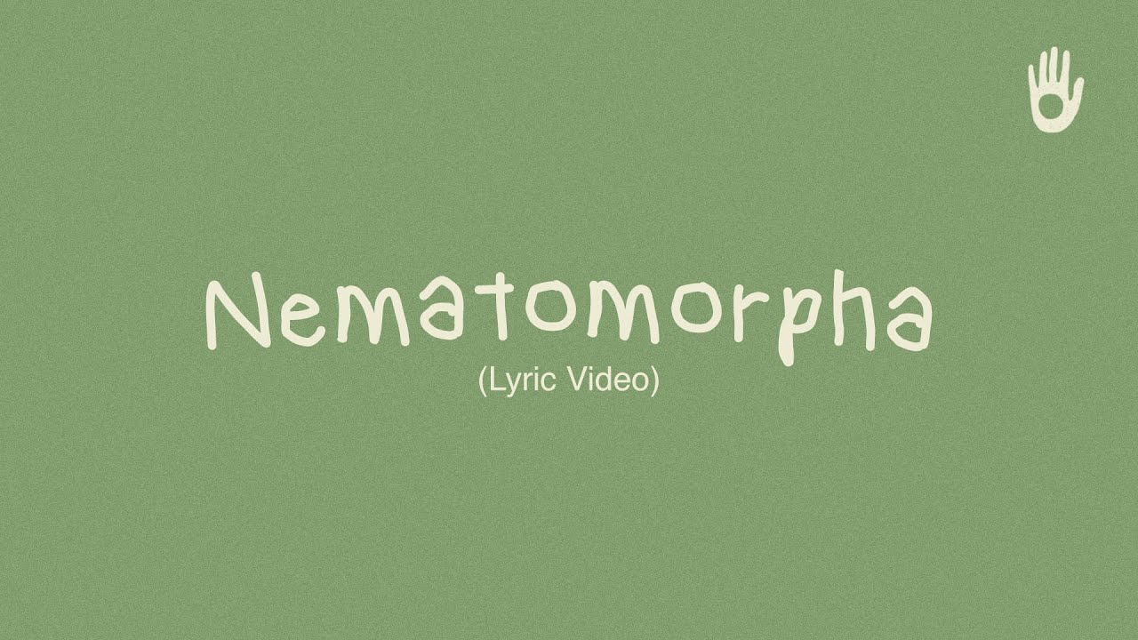 Fourtwnty - Nematomorpha (Lyric Video)