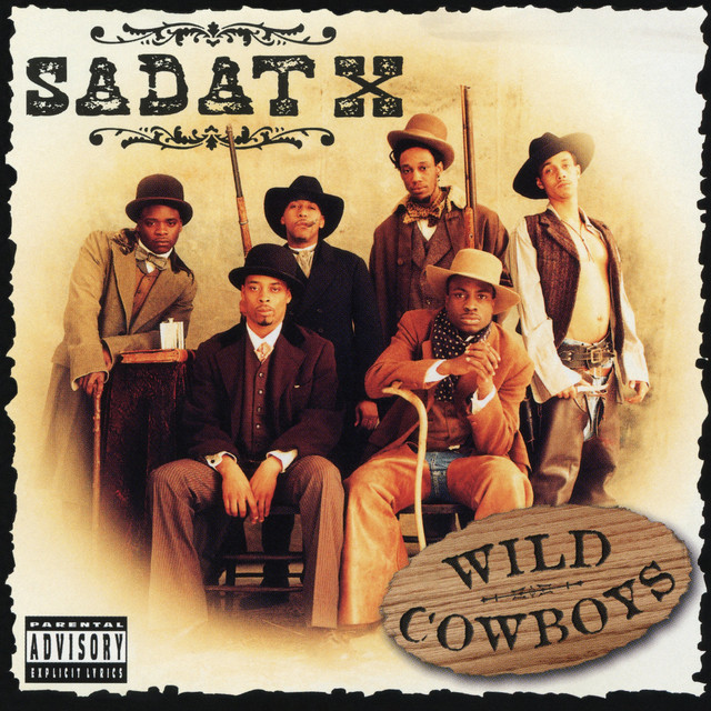 Wild Cowboys cover art
