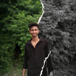 author avatar