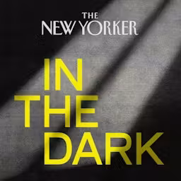 In The Dark cover art