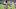 doc-content image