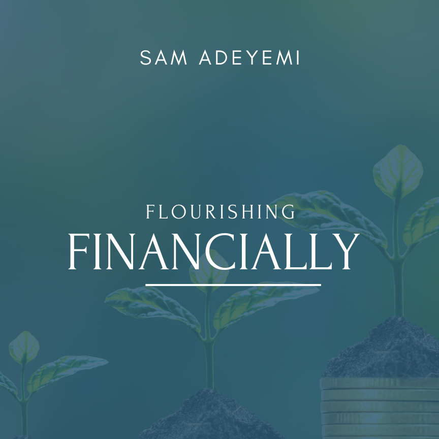 Flourishing Financially In Impossible Situation cover art