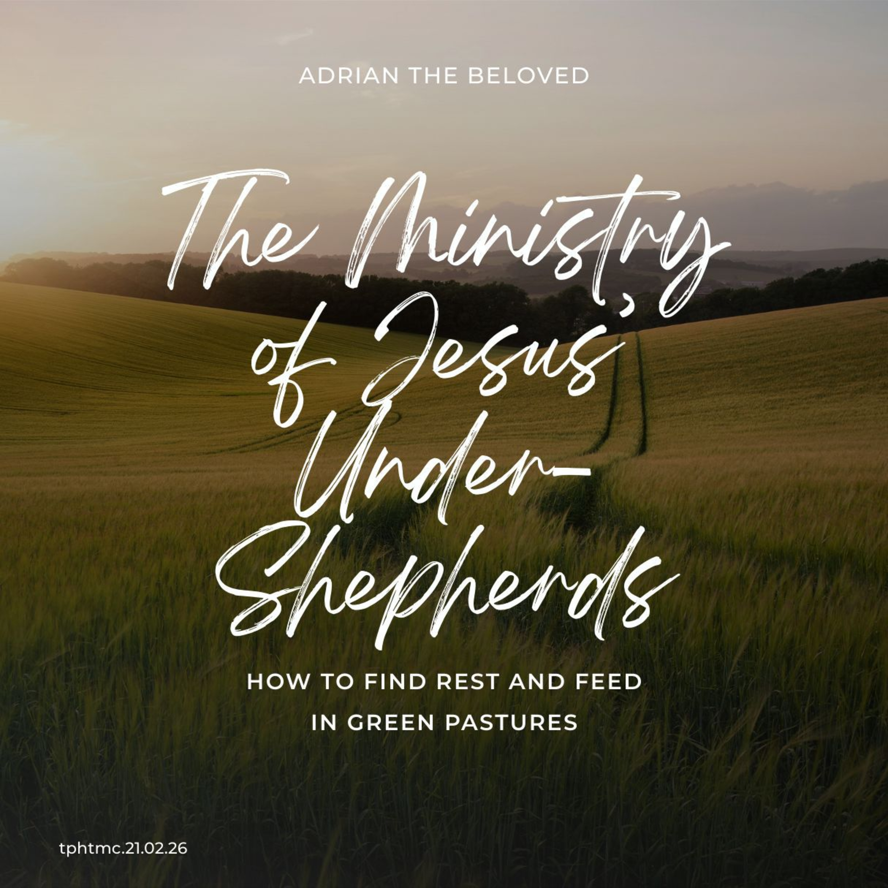 The Ministry of Jesus Under Shepherds: How to Find Rest and Feed in Green Pastures