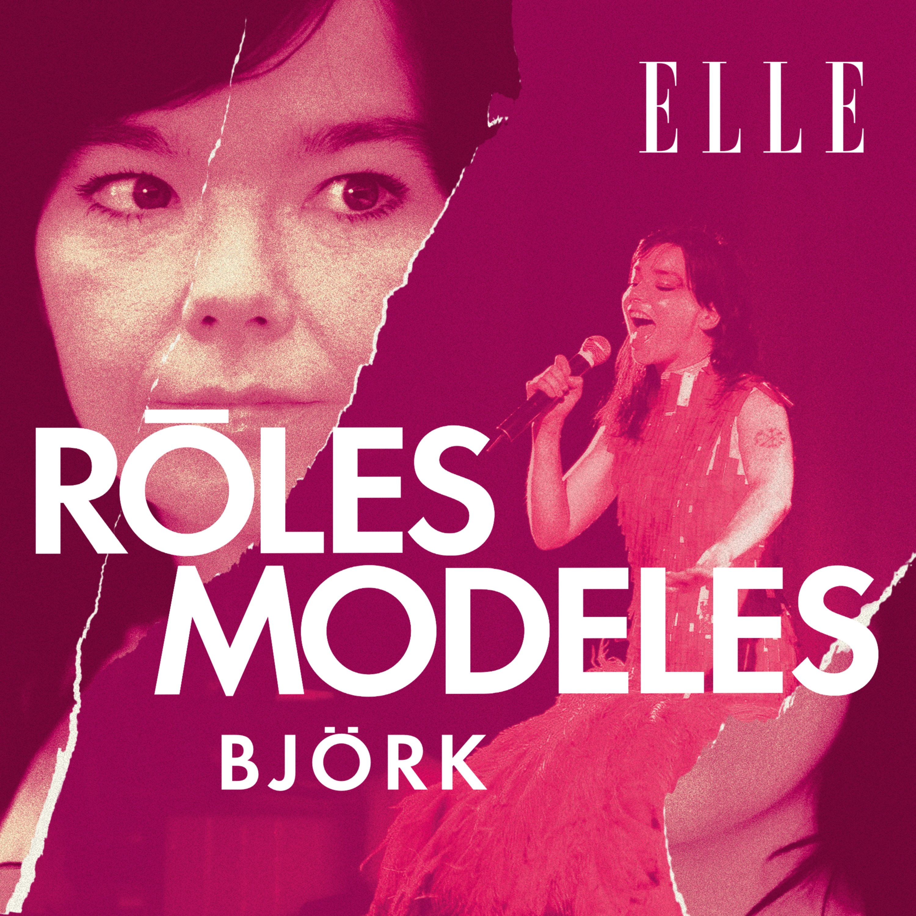 Björk : l’ovni qui manquait à la Terre cover art